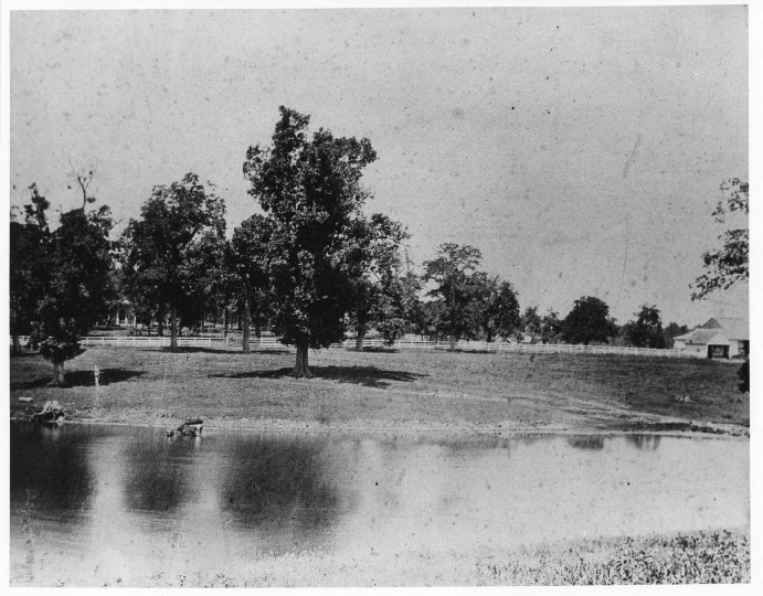 Estate Historic photos, documents, and people